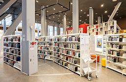 The Library