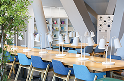 The Library